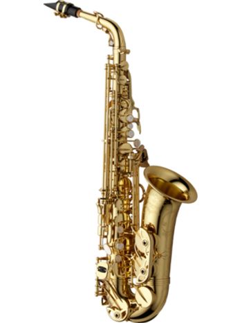 Yanagisawa AWO10 Professional Alto Saxophone - gold lacquer