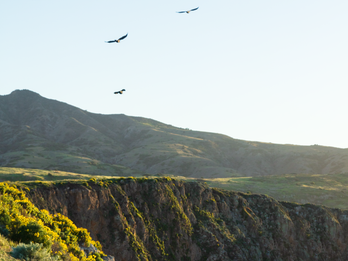 Channel Islands National Park